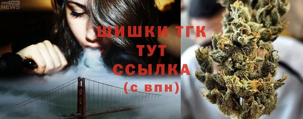 стаф Михайлов