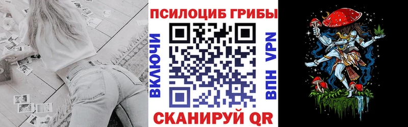 Псилоцибиновые грибы GOLDEN TEACHER  Нерчинск 